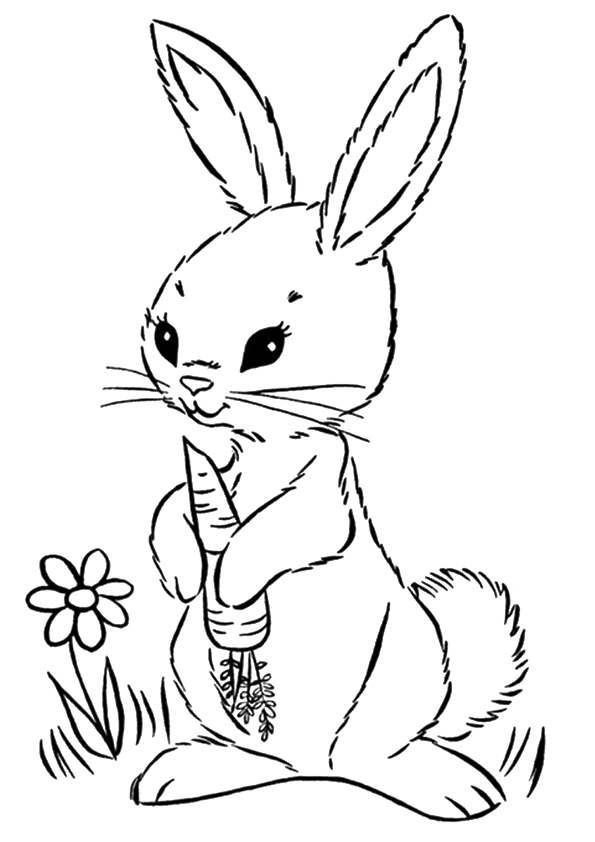 Rabbit With Carrot