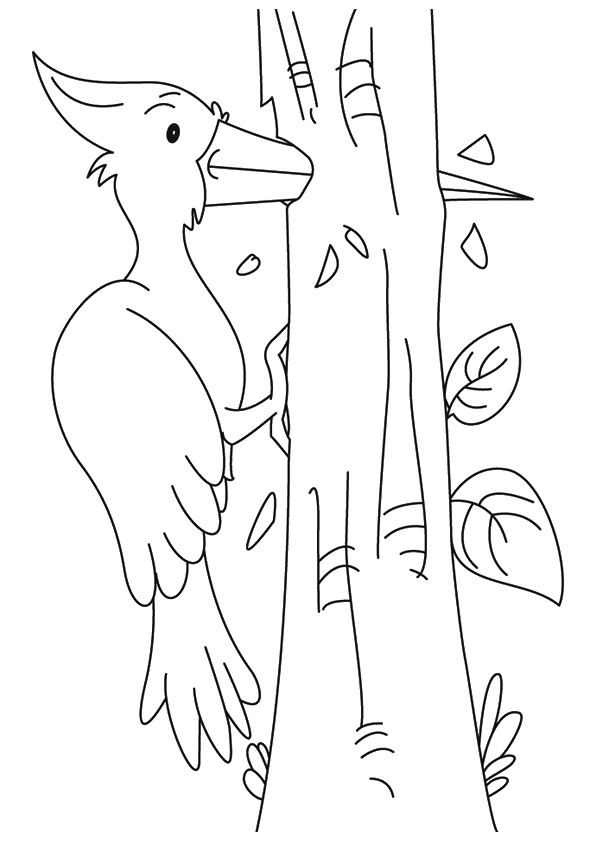 Woodpecker Is Punching A Hole
