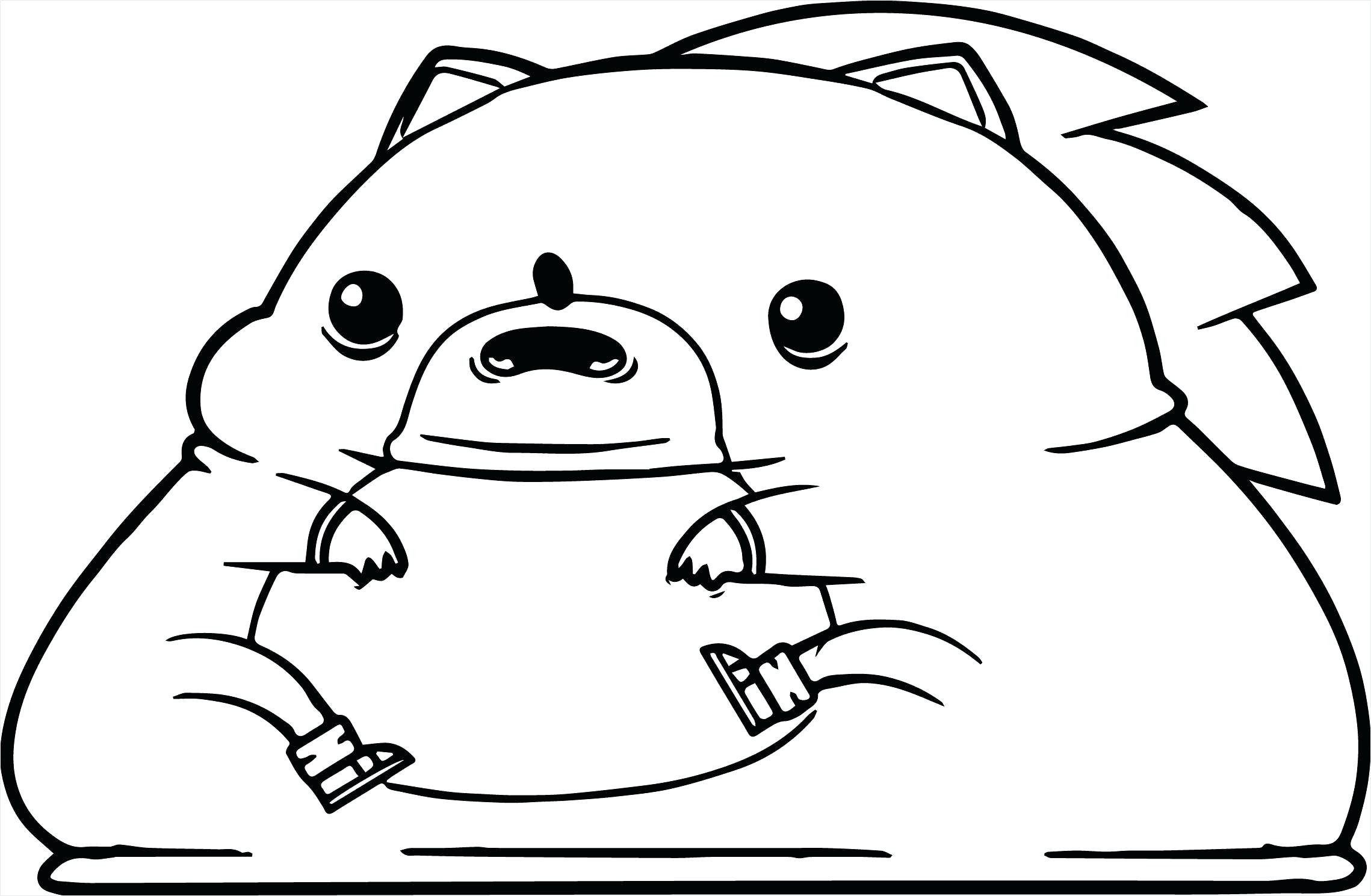 Super Fat Sonic