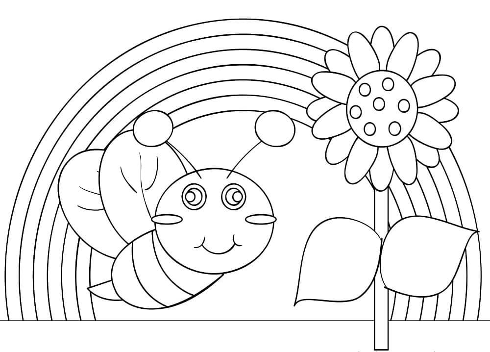 Abeja Y Arcoiris