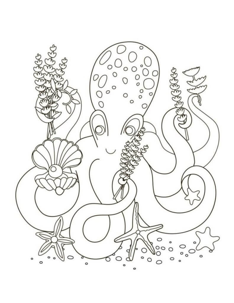 Adorable Pulpo