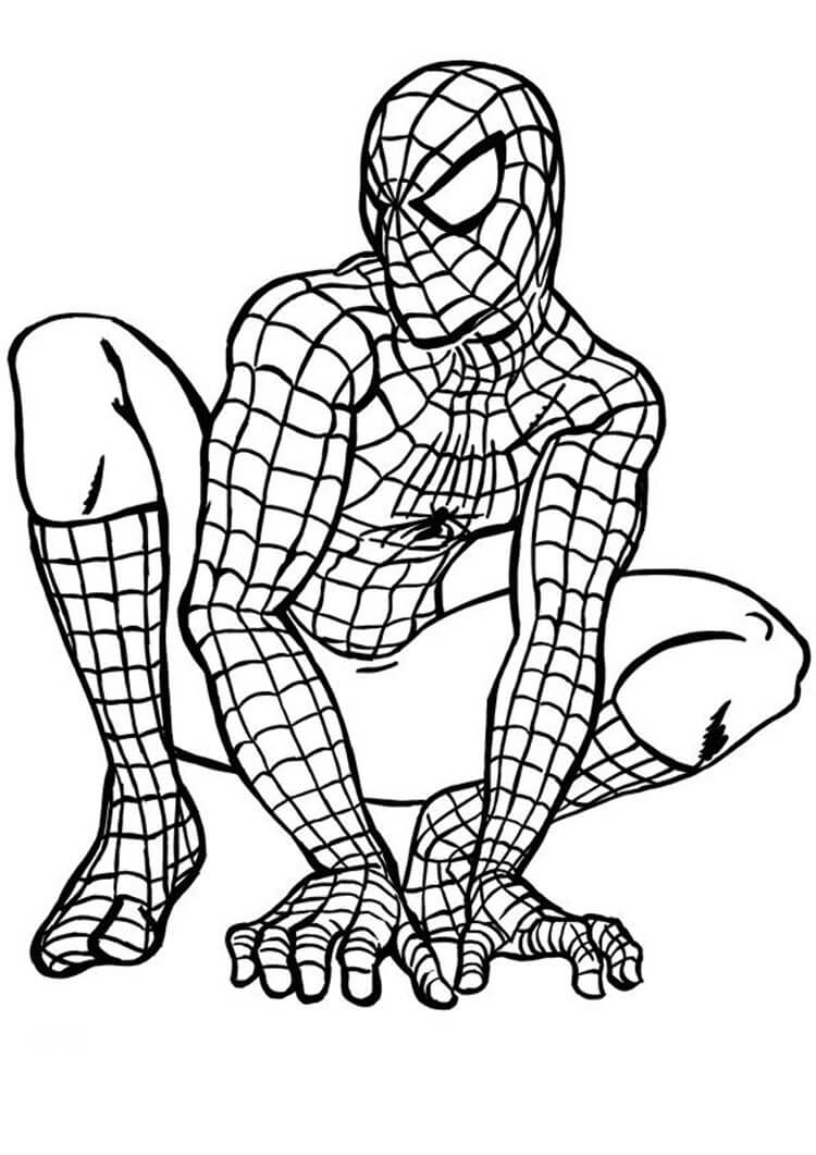 Agradable Hombre Araña