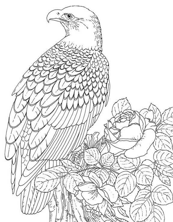 Águila con Rosa y Hojas