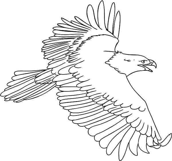 Águila Feliz
