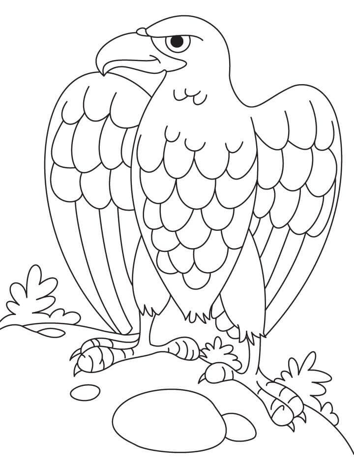 Águila Fresca de Pie