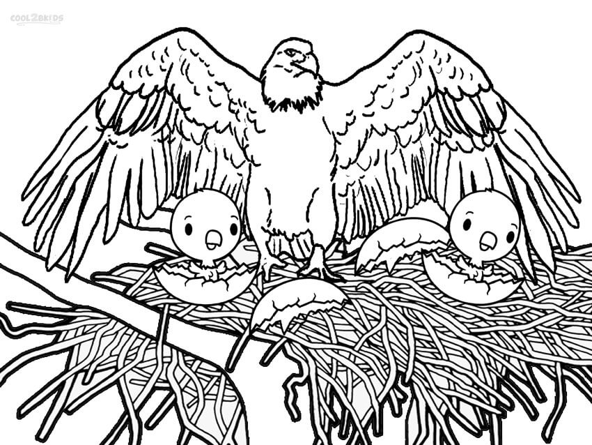 Águila Madre y dos Crías de Águila