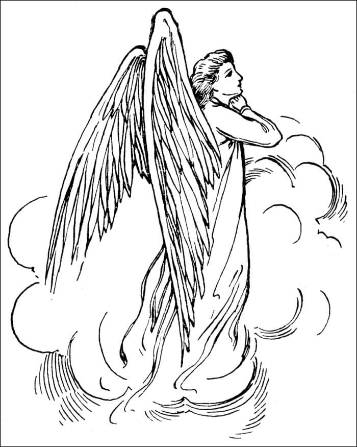 Angel Perfecta
