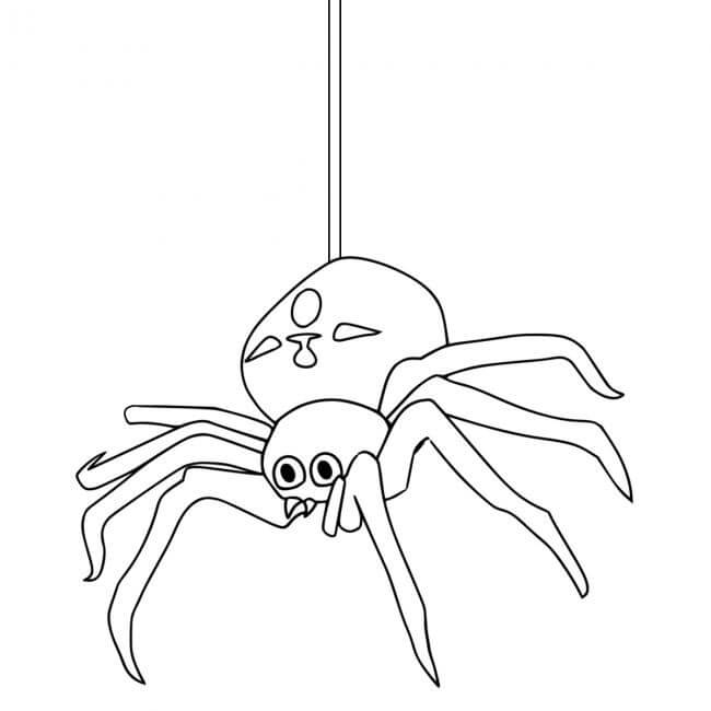Araña