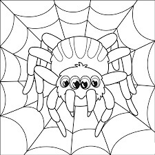 Araña de Cuatro ojos Lindo