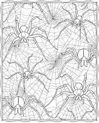 Araña Dura