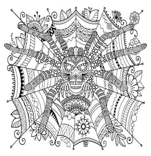 Araña Mandala