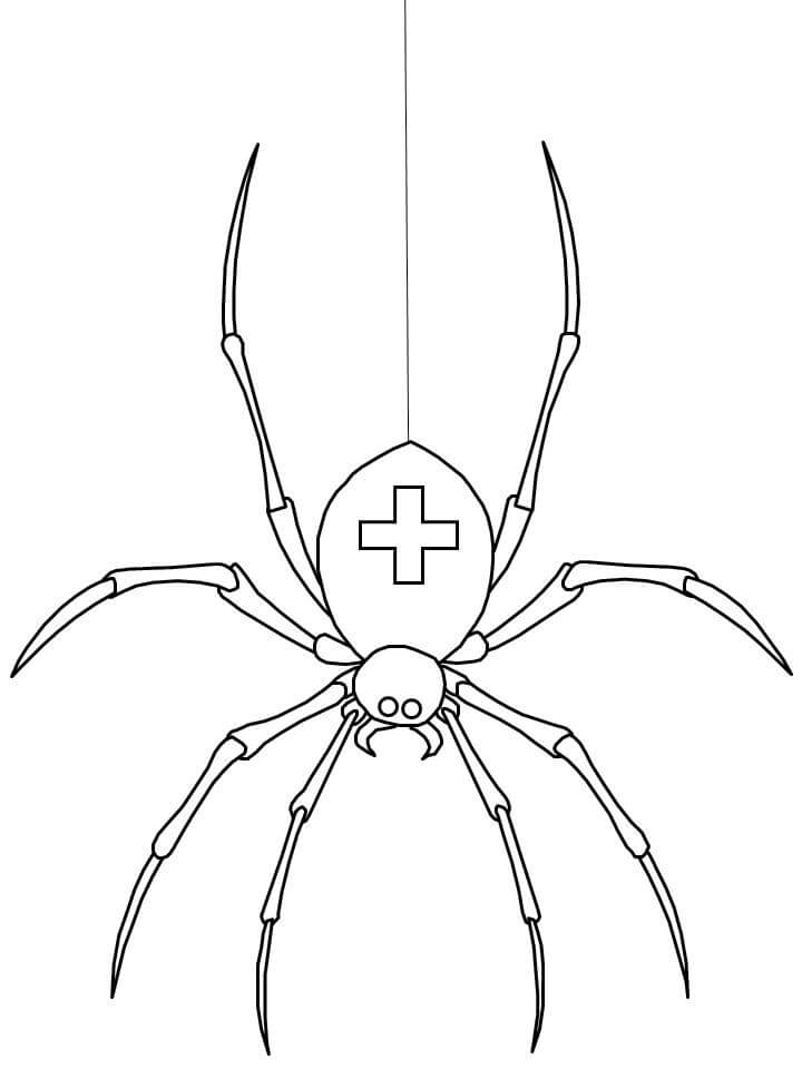 Araña Médica