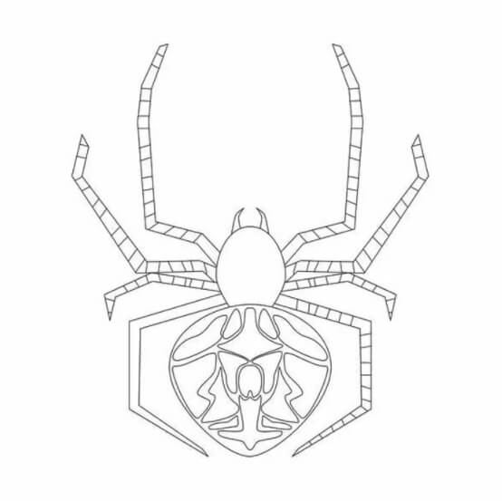 Araña Saltadora