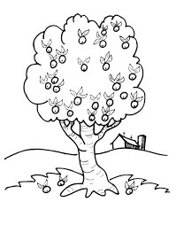 Árbol de Guayaba