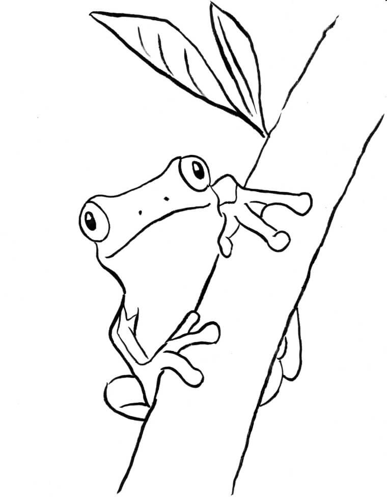 Árbol de rama de Escalada de Rana