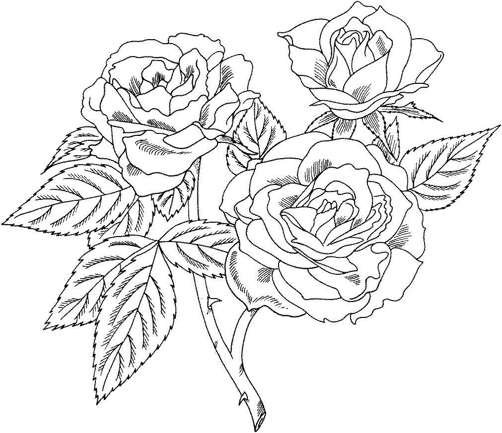 Árbol de Rosas con Hojas