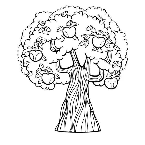Árbol hermoso en Primavera