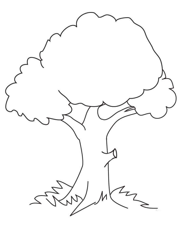 Árbol Normal