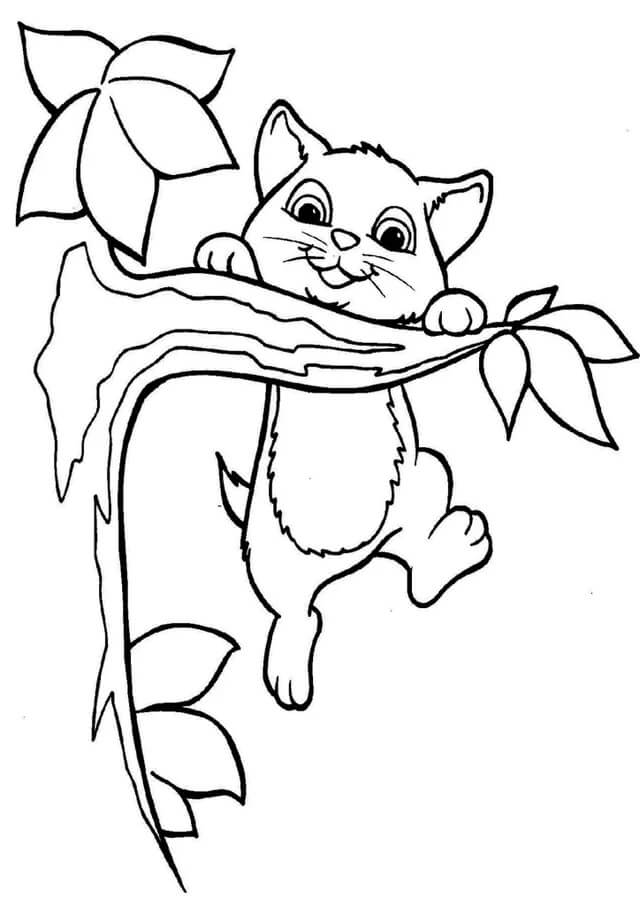 Árbol Trepador de Gatos