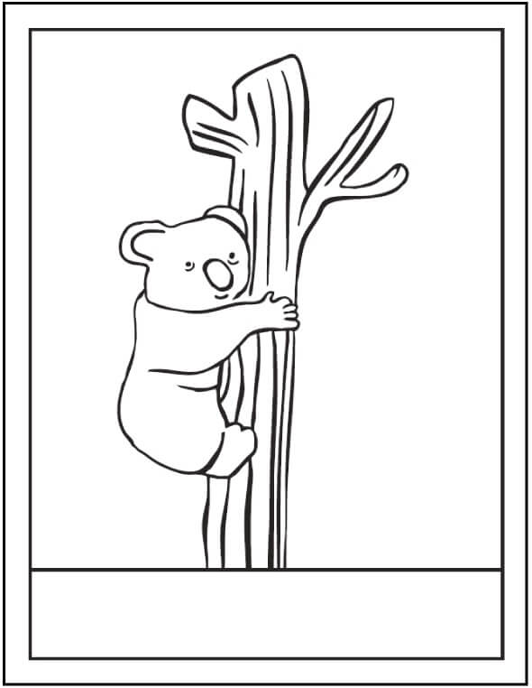 Árbol Trepador de Koalas