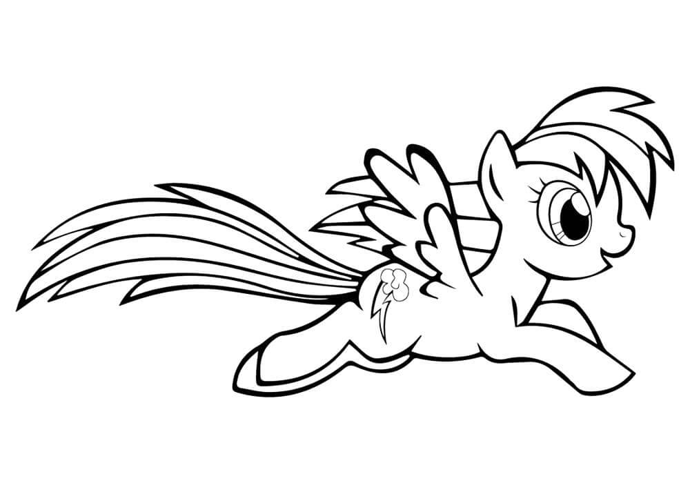 Arcoíris Pizca Pony