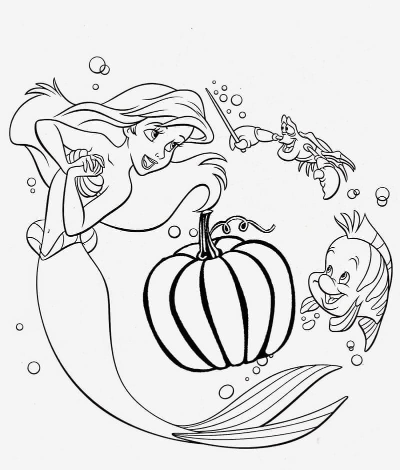 Ariel y Calabaza