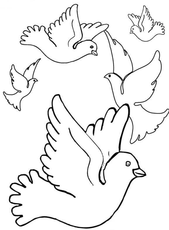 Bandada De Palomas