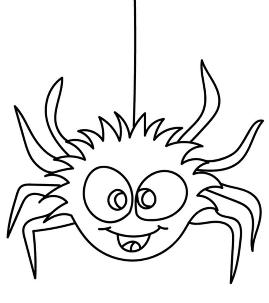 Bebé Araña