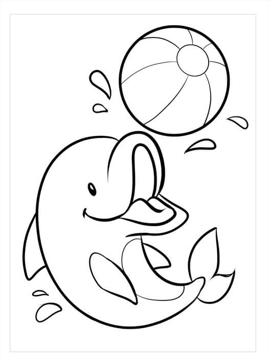 Bebé Delfín con Pelota