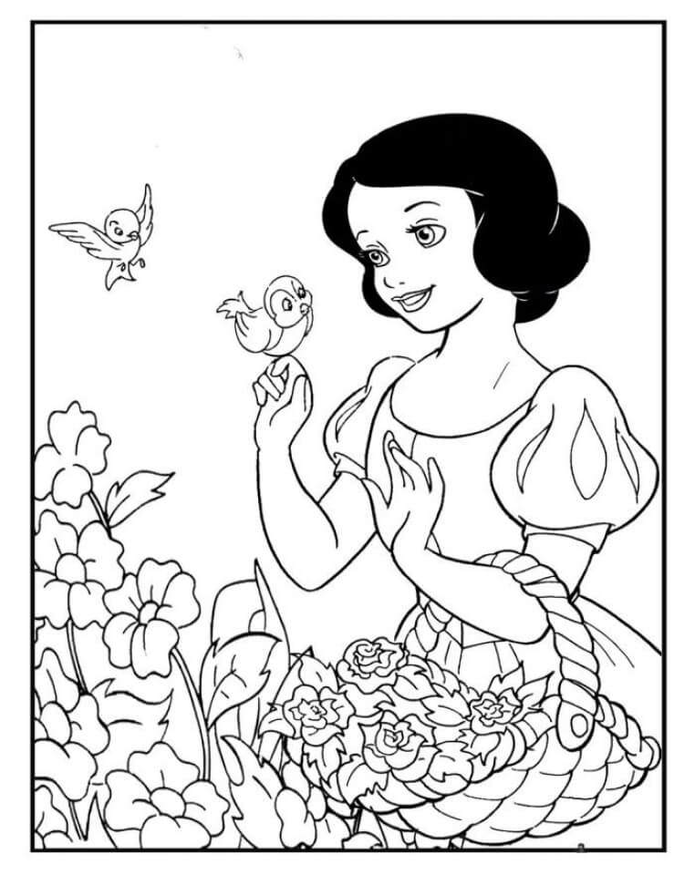 Blancanieves y Pájaro Flor
