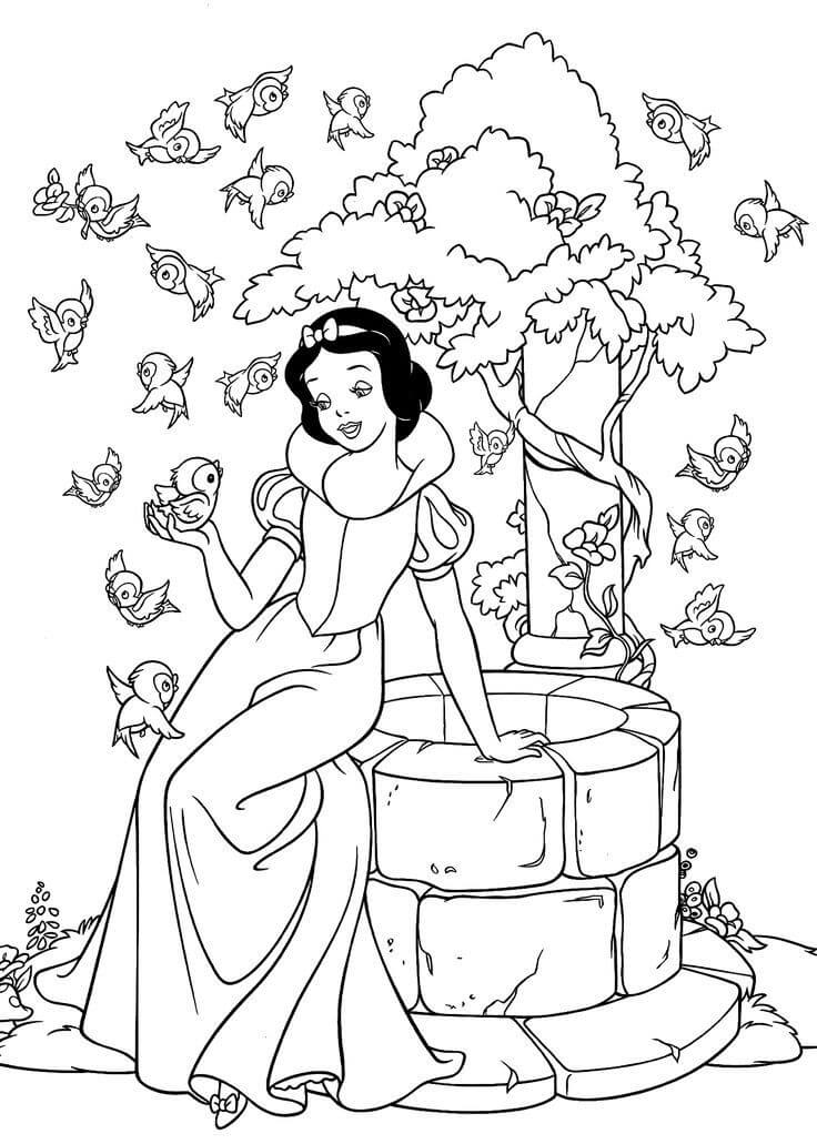 Blancanieves y Pájaros