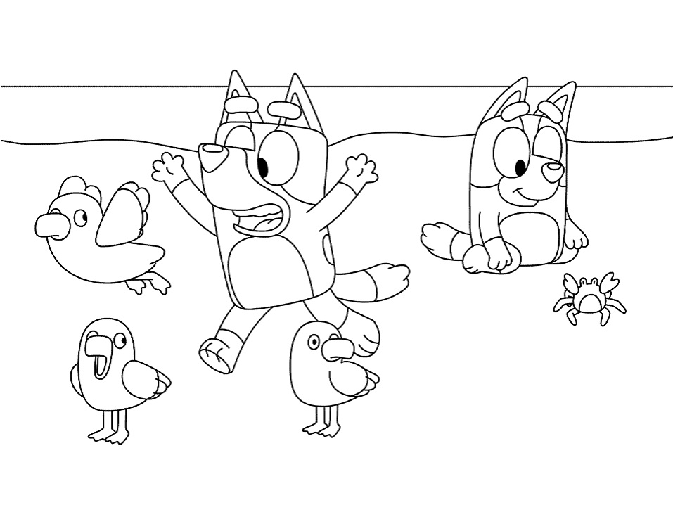 Bluey en la Playa