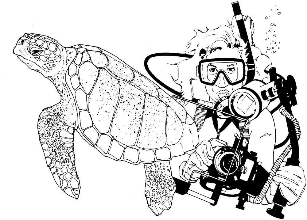 Buceador Y Tortuga Marina