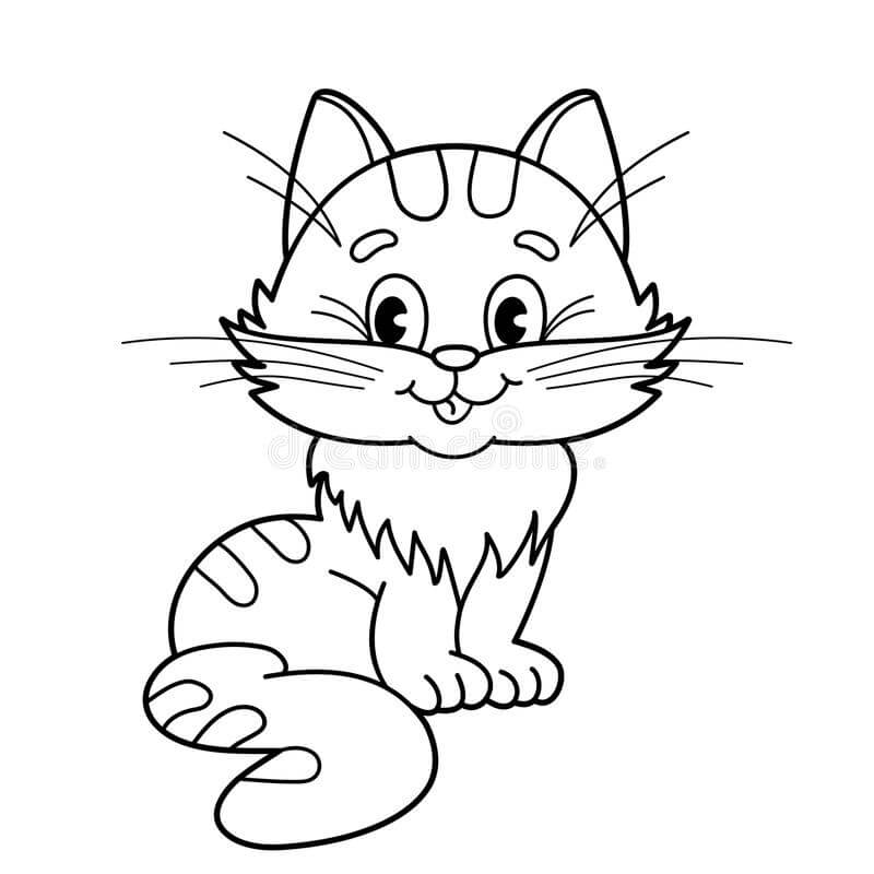 Buen Gato