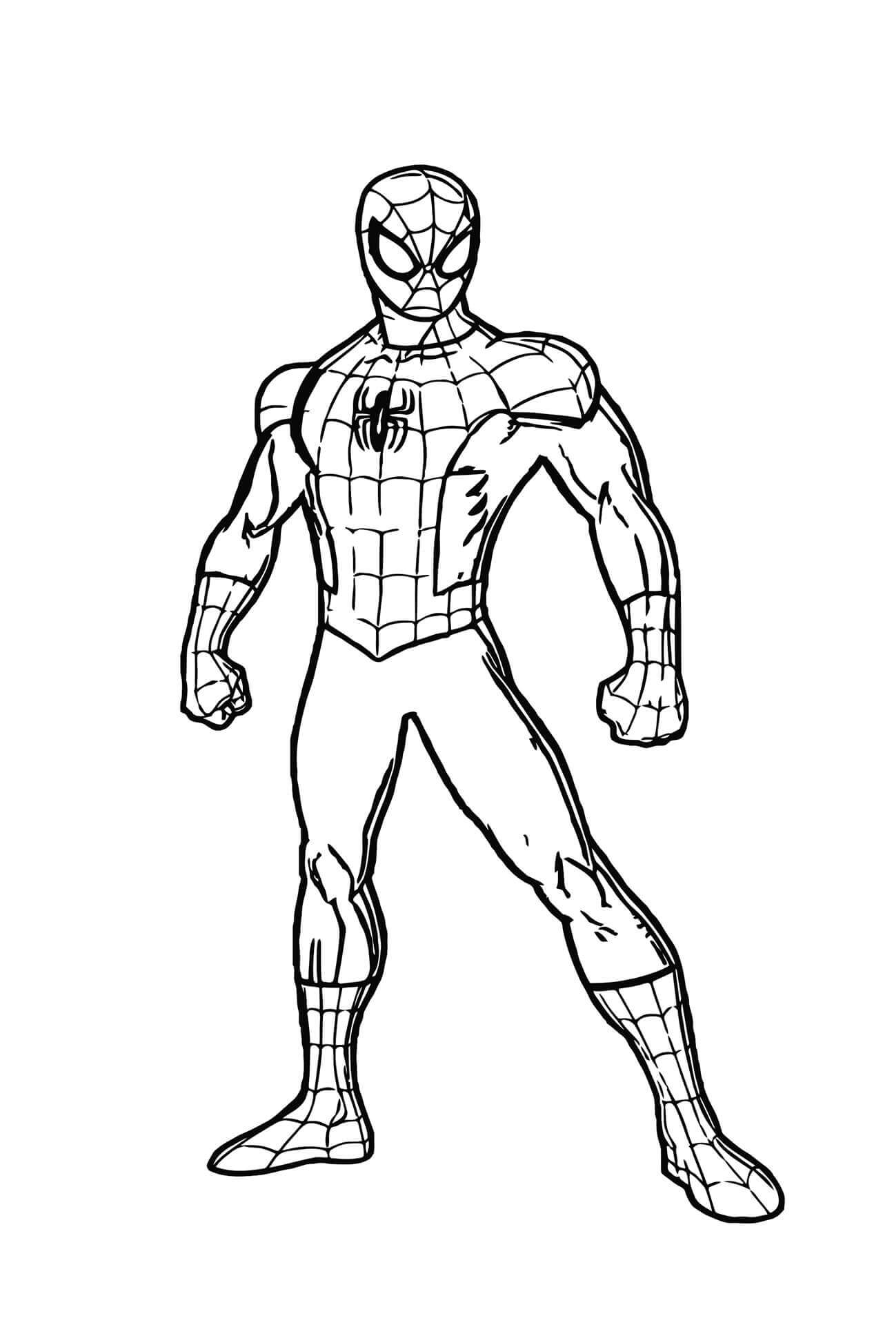 Buen Hombre Araña