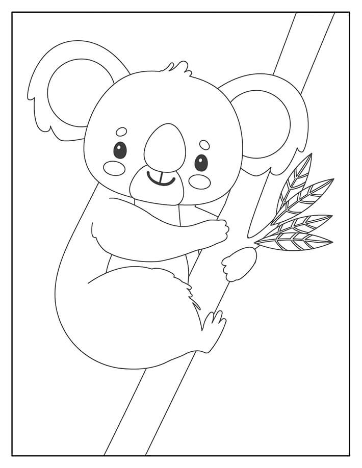 Buen Koala