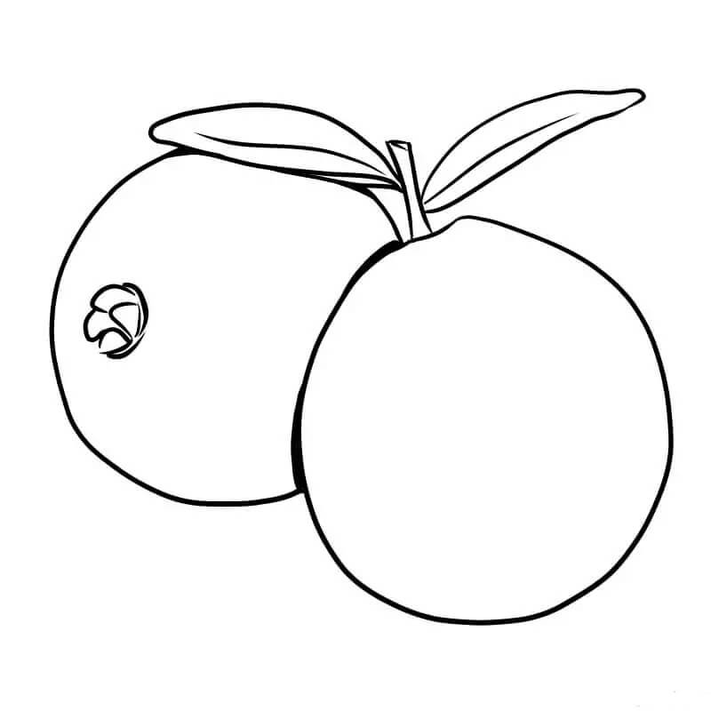 Buena Guayaba