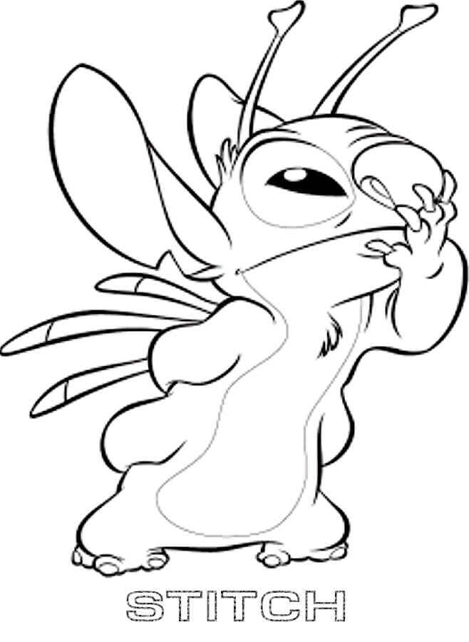 Buena Stitch
