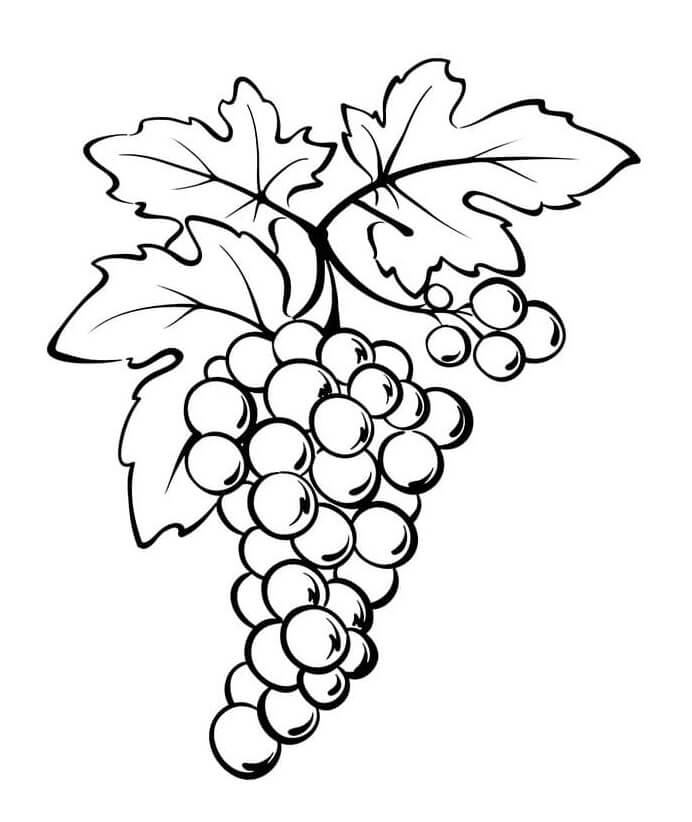 Buenas Uvas