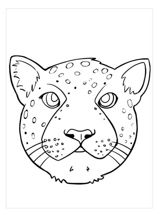 Cabeza de Jaguar
