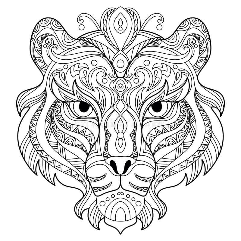 Cabeza de Tigre Enredado