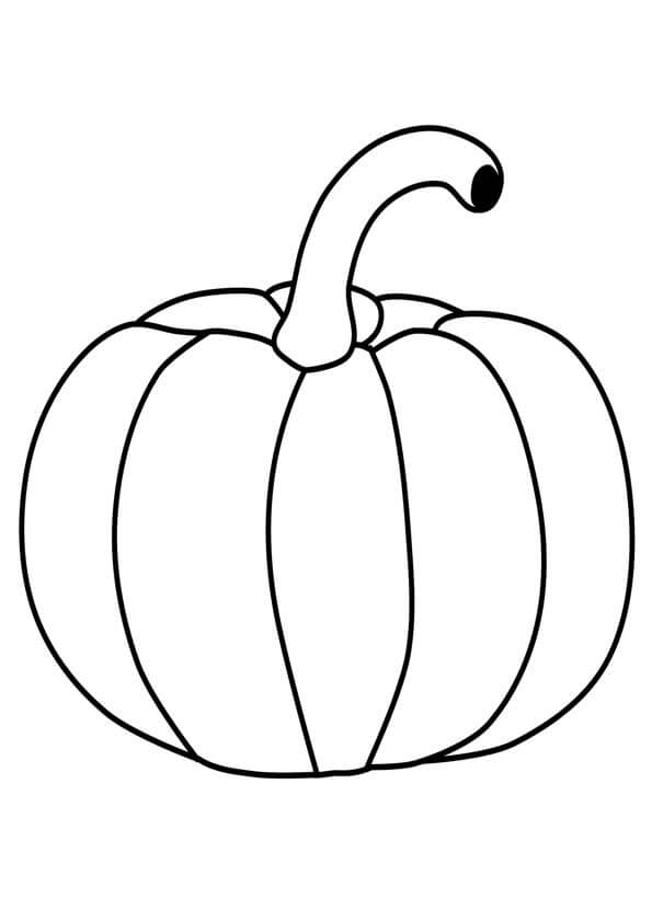 Calabaza Básica