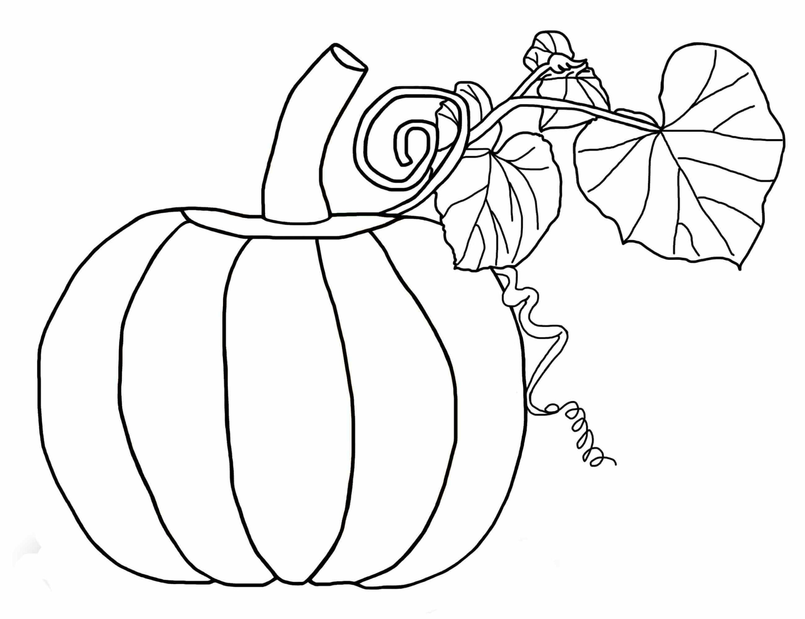Calabaza con Hoja