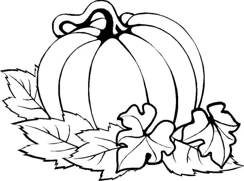 Calabaza De Acción De Gracias