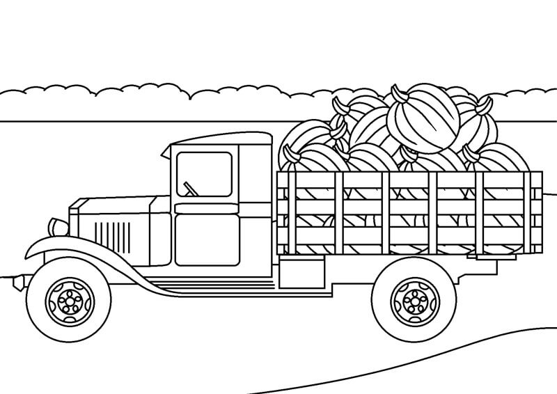 Camionetas de Frutas