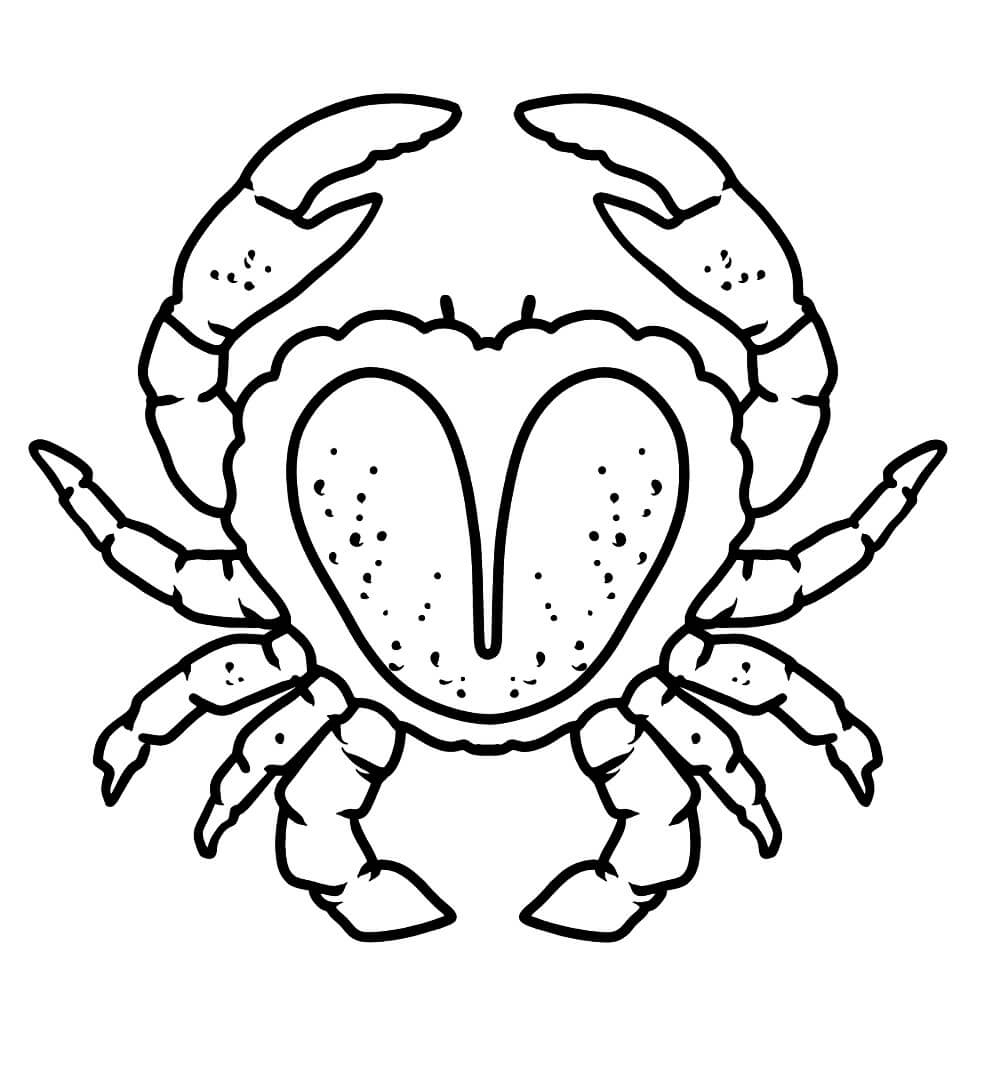 Cangrejo Asombroso