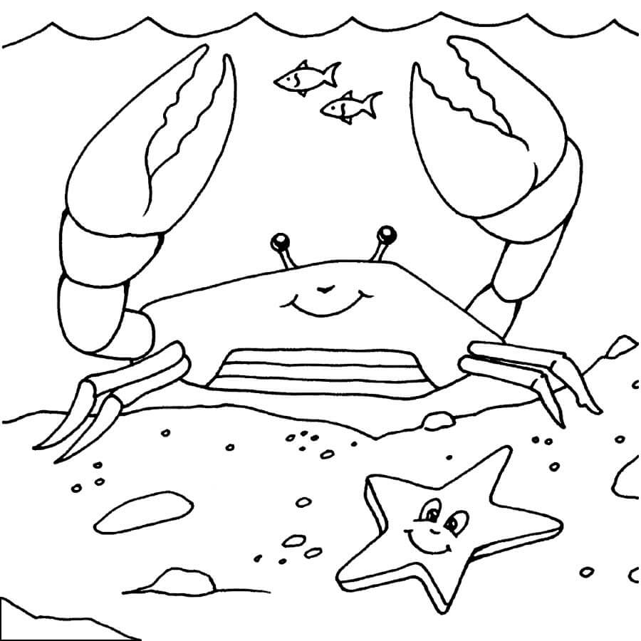 Cangrejo con Estrella de Mar