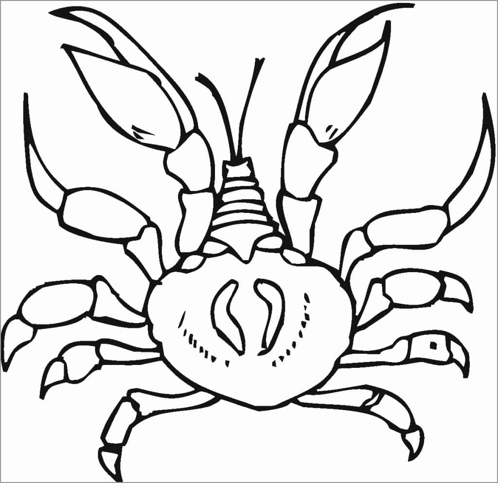 Cangrejo de Dibujo Normal