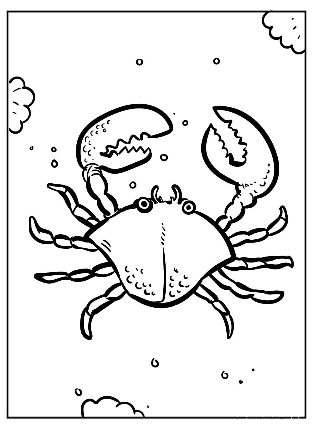 Cangrejo de Dibujo