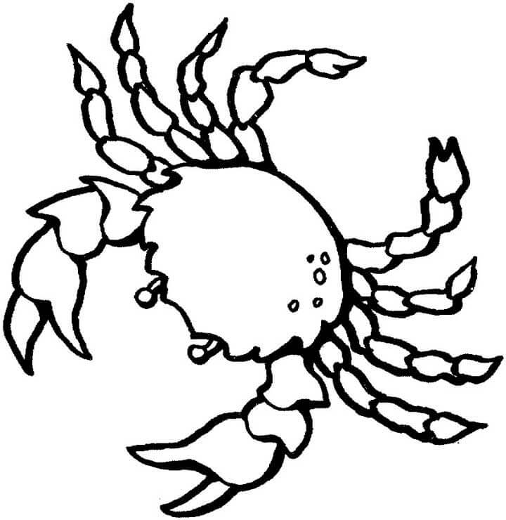 Cangrejo Dibujo Simple
